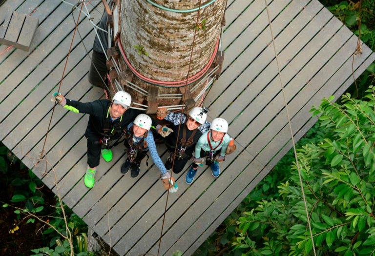 canopy tour 3