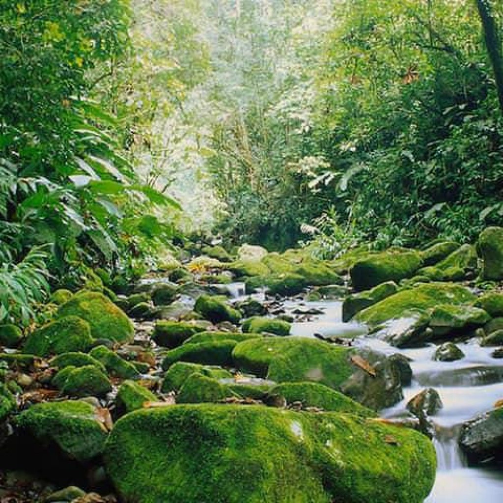 Gentle Waterfall
