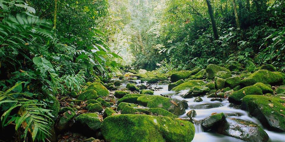 Gentle Waterfall