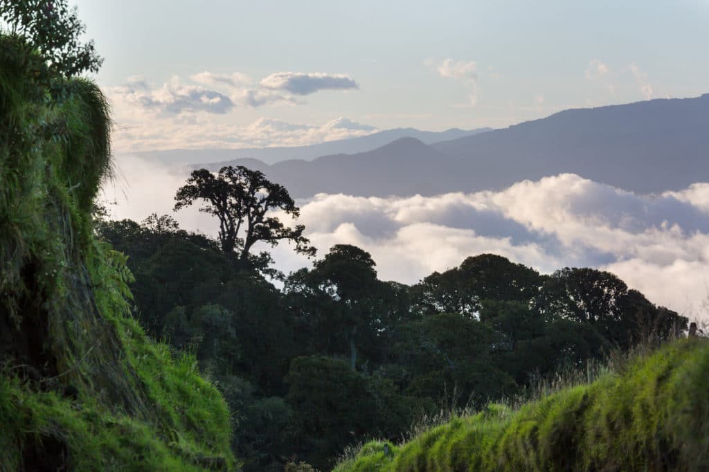 Paradise In Jaco Costa Rica Landscapes Px