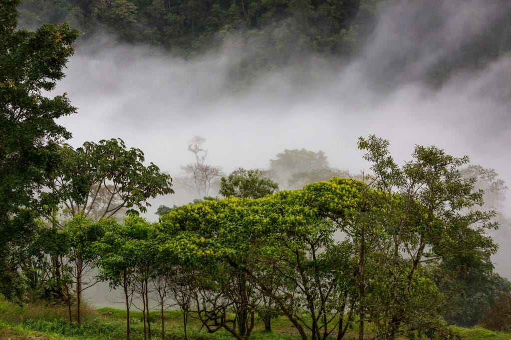 Paradise In Jaco Jungle In Costa Rica Pc