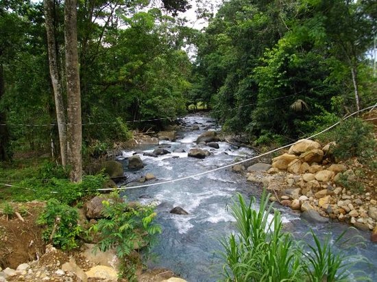 rio celeste